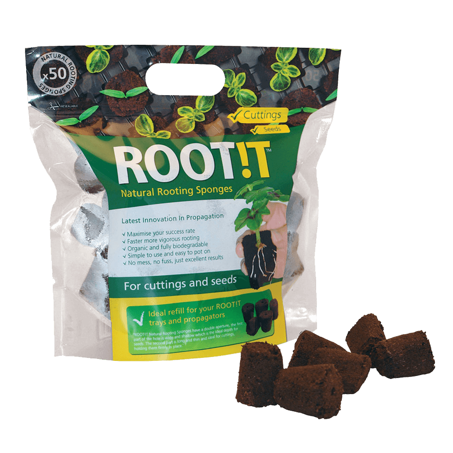 ROOT!T Anzuchtwürfel mit Pflanze in der Hand Details 3